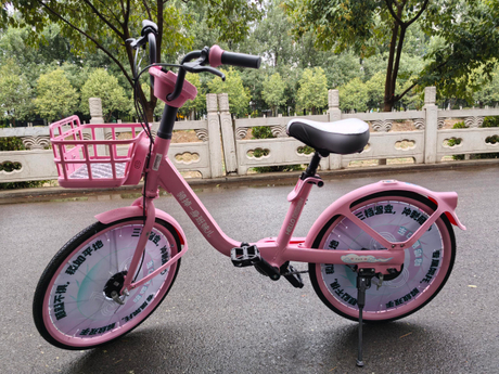 西安粉色限定单车.jpg